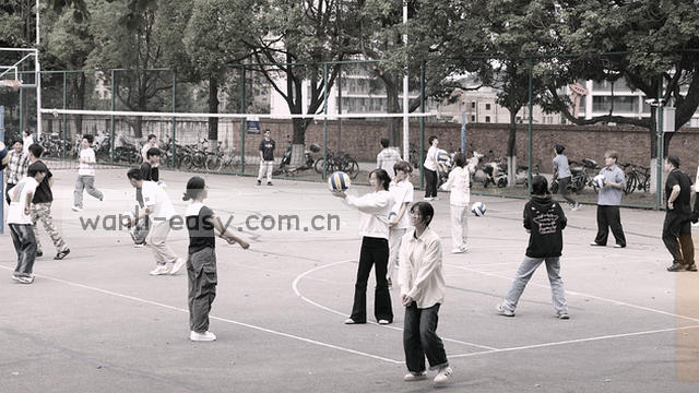 用心倾听您的需求     
清晰梳理每一步     
妥善为您办妥